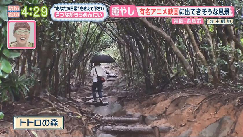 糸島｜めんたいワイド｜FBS福岡放送