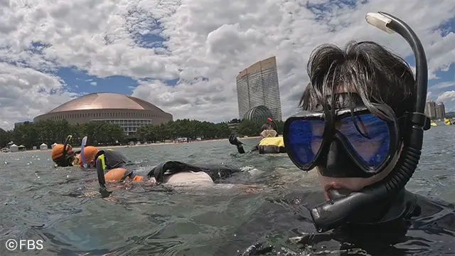 福岡の海の底には驚きのものが…