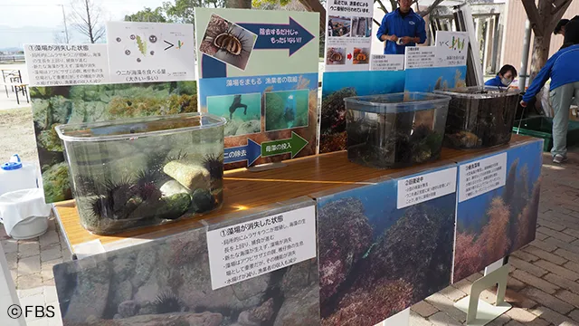 海と漁師のごちそうフェス～守り受け継ぐ福岡の海