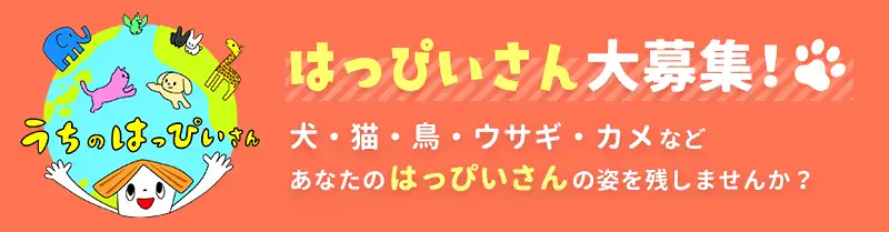 うちのはっぴいさん