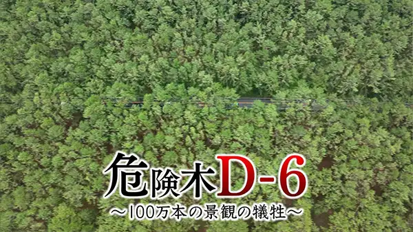 FBSムービー