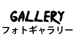 フォトギャラリー
