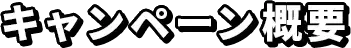 キャンペーン概要