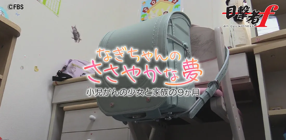 なぎちゃんのささやかな夢 ~小児がんの少女と家族の9か月~ なぎちゃんのささやかな夢 ~小児がんの少女と家族の9か月~