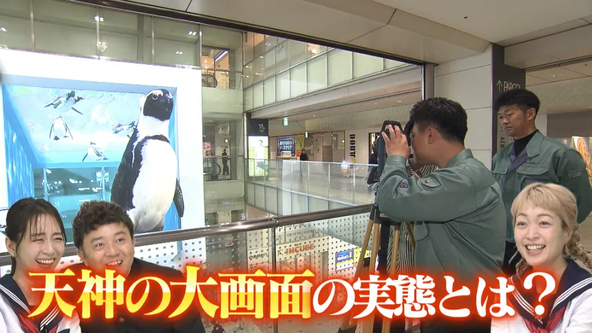天神の大画面を徹底調査 天神の大画面を徹底調査