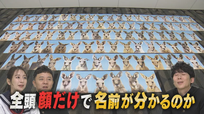 福岡の気になるウワサ大調査SP