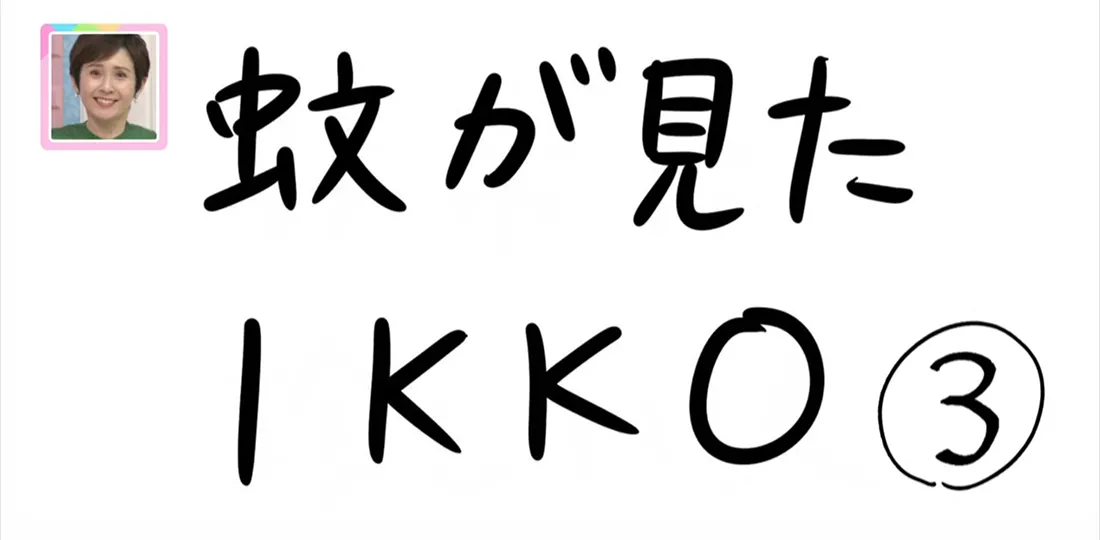 【おきりぃの一コマまんが】蚊が見たIKKO 【おきりぃの一コマまんが】蚊が見たIKKO