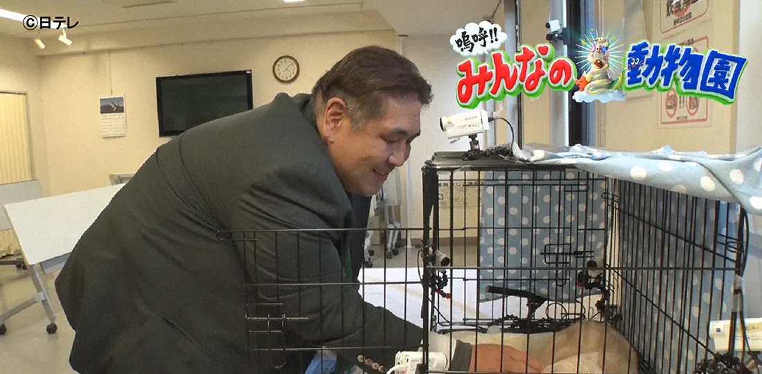 猫LOVE親方&保護猫ベロちゃん涙の最終回SP 猫LOVE親方&保護猫ベロちゃん涙の最終回SP