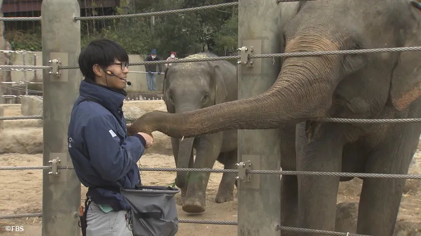 ゾウと写真におさまれば~ようこそ!福岡市動物園へ~ ゾウと写真におさまれば~ようこそ!福岡市動物園へ~