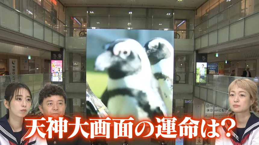 天神の大画面を徹底調査 天神の大画面を徹底調査