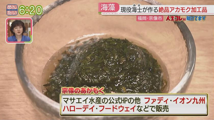 人生コレに賭けてます|故郷に元気を…アカモク漁師の挑戦 人生コレに賭けてます|故郷に元気を…アカモク漁師の挑戦