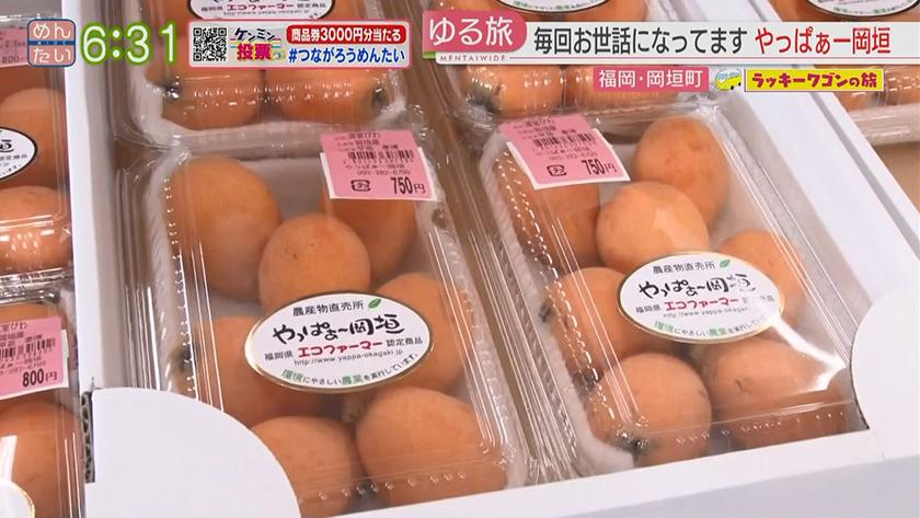 ラッキーワゴンの旅｜岡垣町後編