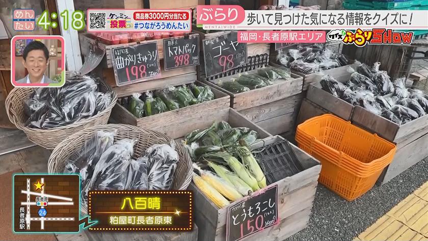 クイズぶらりSHOW【新企画】｜長者原駅周辺