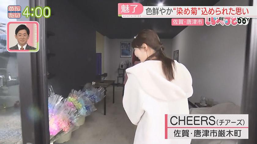 夕刊めんタイムリー｜しらべると「過疎化する山間の町を“染め菊”で町おこし(唐津市厳木町)」