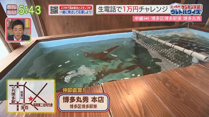 あーね!イイネ!中継|仲卸直営の店でお得にランチ~仲卸直営店の鮮魚グルメ~ あーね!イイネ!中継|仲卸直営の店でお得にランチ~仲卸直営店の鮮魚グルメ~