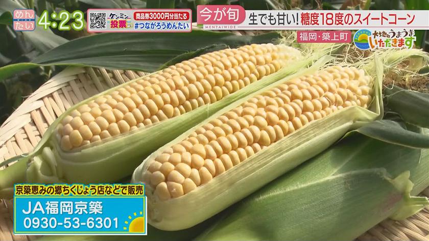 大地のうまうまいただきます【週替わり新企画】｜旬！スイートコーン出荷＆料理（築上町）