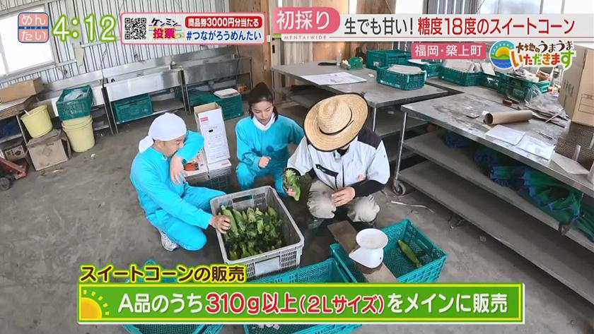 大地のうまうまいただきます【週替わり新企画】｜旬！スイートコーン出荷＆料理（築上町）