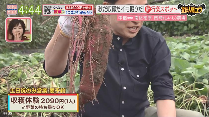 宣伝人間ユウ｜イモ掘り体験と秋食材でピザ作り