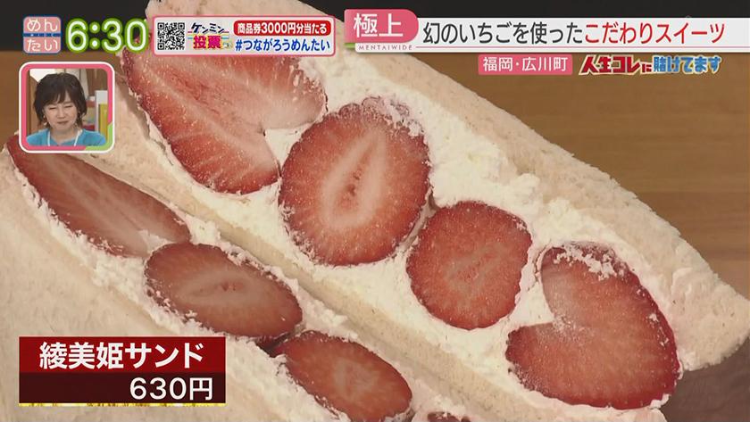 人生コレに賭けてます｜唯一無二!幻のイチゴを作った農家(広川町)