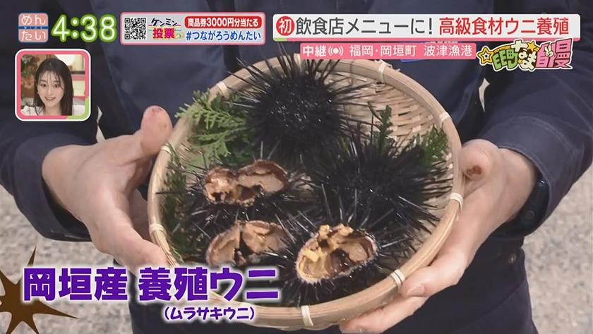 集まれ!EE町なま自慢｜高級食材ウニを養殖してます!