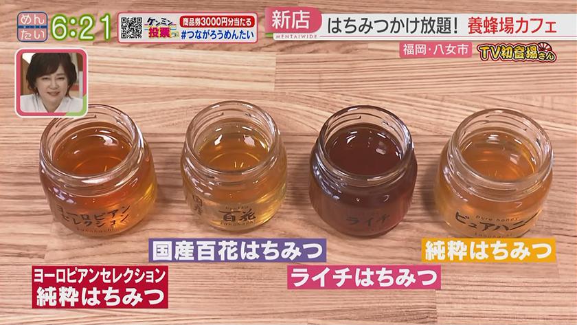 TV初登場さん|人気店の新店舗 TV初登場さん|人気店の新店舗