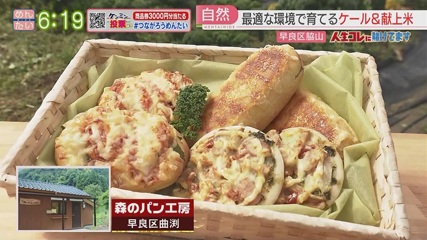 人生コレに賭けてます|あえて選んだ専業農家ケール栽培 人生コレに賭けてます|あえて選んだ専業農家ケール栽培