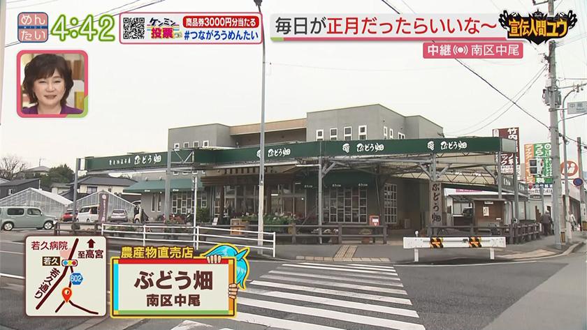 宣伝人間ユウ｜正月料理だけじゃない!カツオ菜の実力