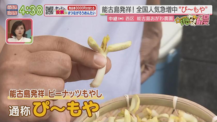集まれ!EE町なま自慢｜全国で人気！ピーナッツもやし(能古島)