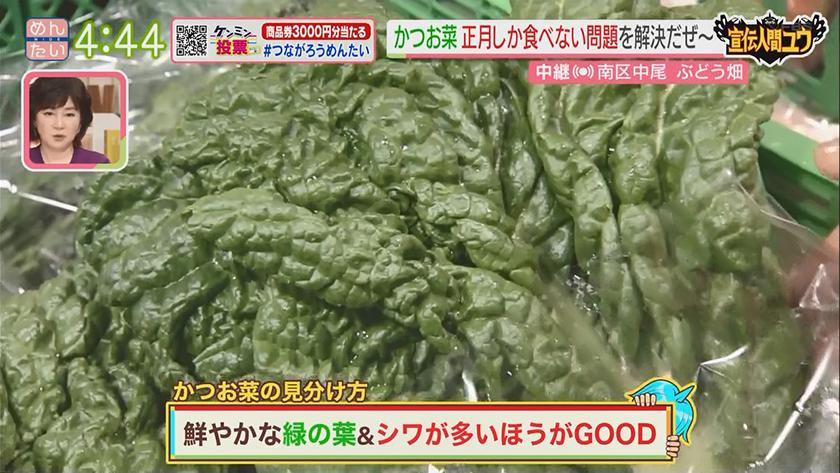宣伝人間ユウ｜正月料理だけじゃない!カツオ菜の実力