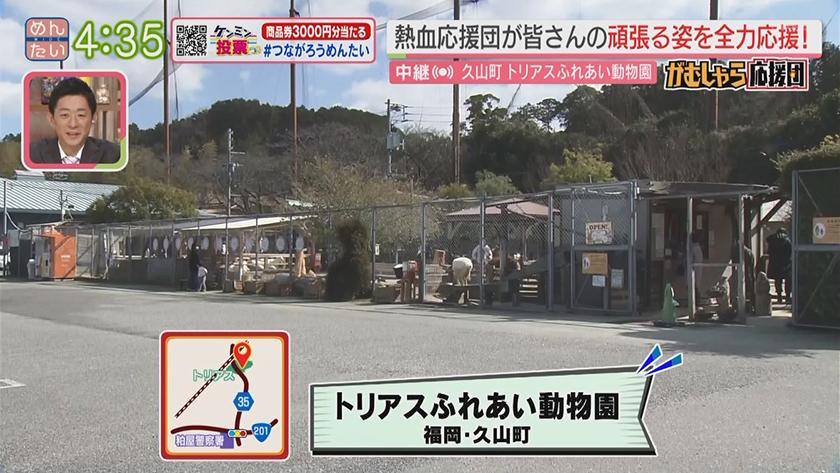 押忍!がむしゃら応援団｜今だけの癒やし姿を撮って動物園を応援