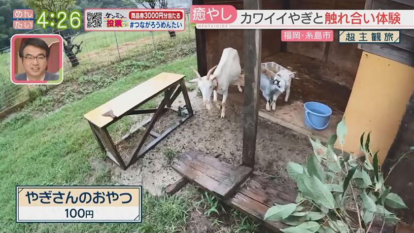 超主観旅|福岡・糸島市 超主観旅|福岡・糸島市