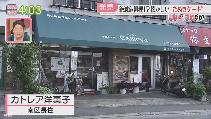 夕刊めんタイムリー｜しらべると　～懐かしくて新しい“たぬきケーキ”～