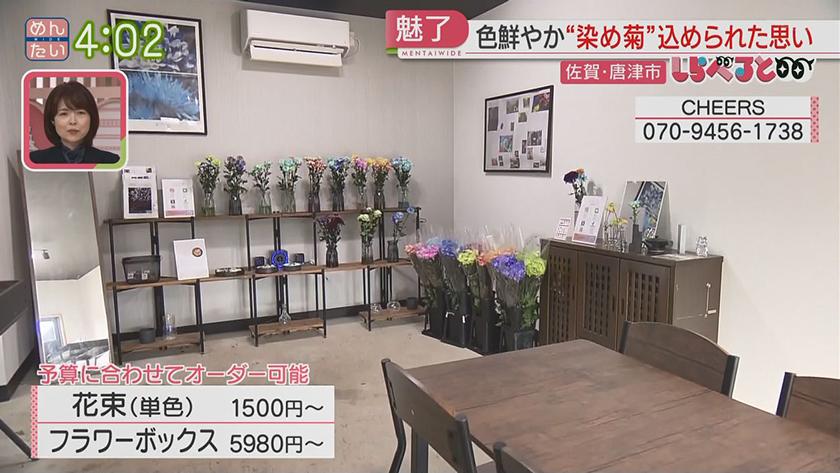 夕刊めんタイムリー｜しらべると「過疎化する山間の町を“染め菊”で町おこし(唐津市厳木町)」