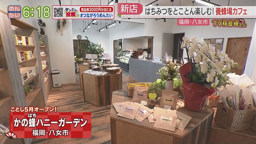 TV初登場さん|人気店の新店舗 TV初登場さん|人気店の新店舗
