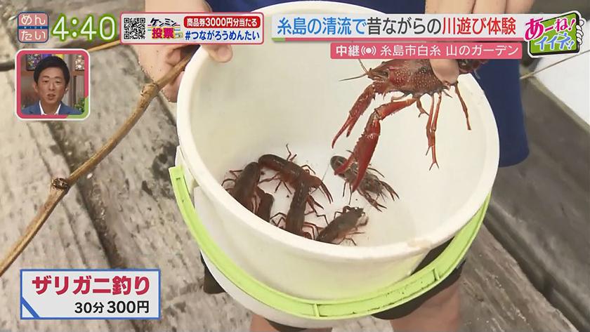 あーね!イイネ!中継|大混雑の白糸の滝近くに超穴場の清流スポット あーね!イイネ!中継|大混雑の白糸の滝近くに超穴場の清流スポット