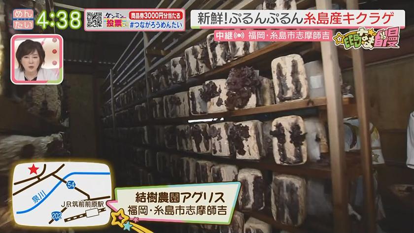 集まれ!EE町なま自慢｜県内の9割生産きくらげ(糸島市)