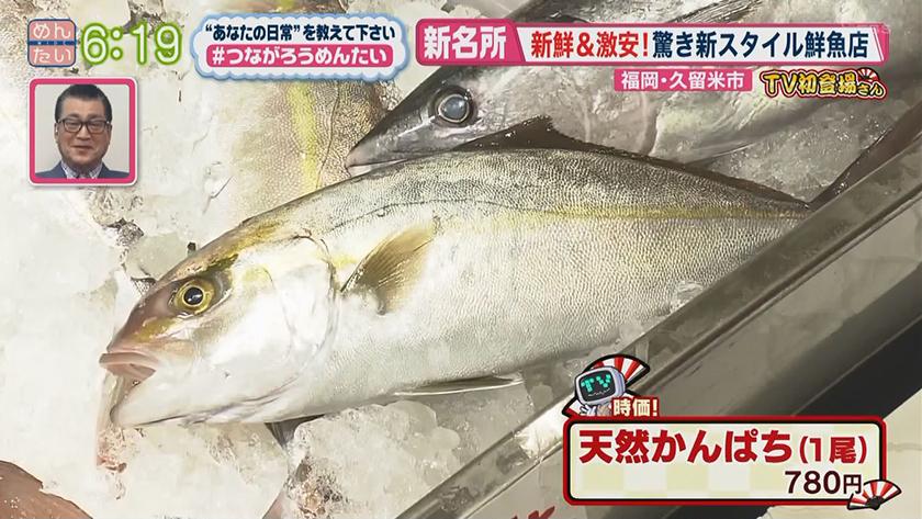 テレビ初登場さん めんたいワイド Fbs福岡放送 テレビ初登場さん めんたいワイド Fbs福岡放送