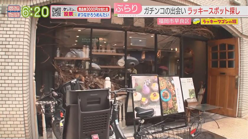 ラッキーワゴンの旅｜早良区・後編