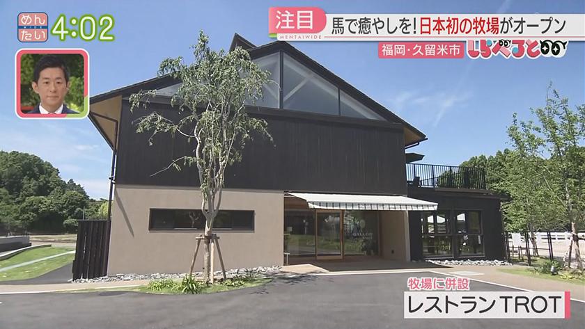夕刊めんタイムリー｜しらべると～馬で癒やしを!日本初の牧場がオープン(久留米市)～