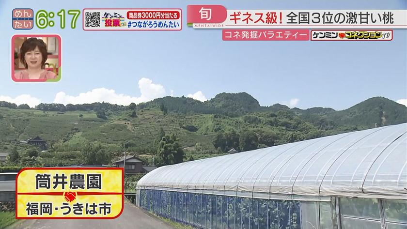 ケンミンコネクションTV｜甘さギネス級の桃農家＆愛され元ホテルマン