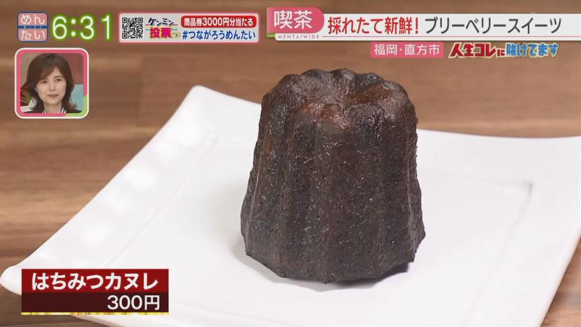 人生コレに賭けてます|看護師から転身!ブルーベリー農家 人生コレに賭けてます|看護師から転身!ブルーベリー農家