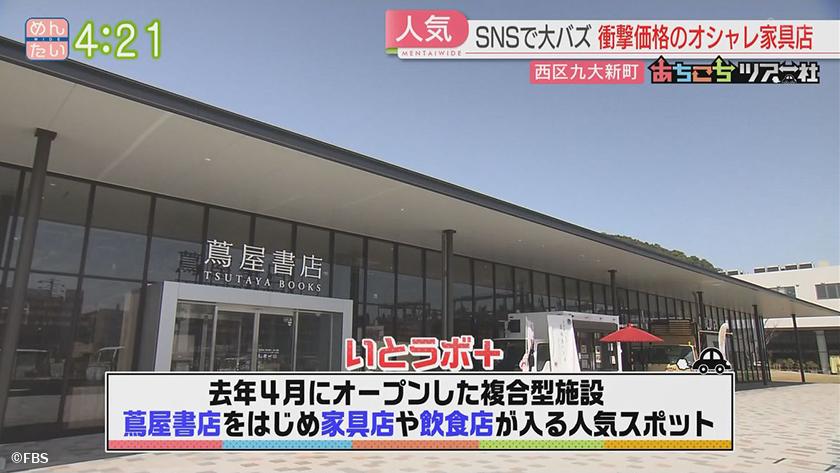 あちこちツアー社【新企画】|春の糸島 後編 あちこちツアー社【新企画】|春の糸島 後編