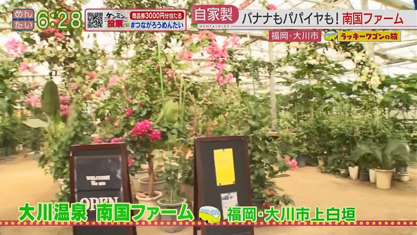 ラッキーワゴンの旅｜大川市・後編