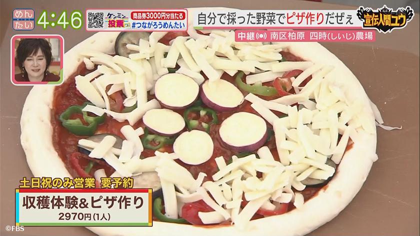 宣伝人間ユウ｜イモ掘り体験と秋食材でピザ作り