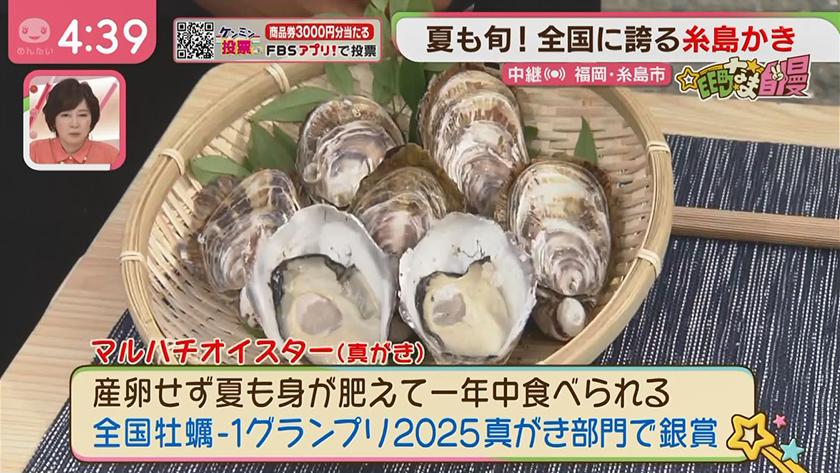 集まれ!EE町なま自慢｜糸島のブランドかき大集合