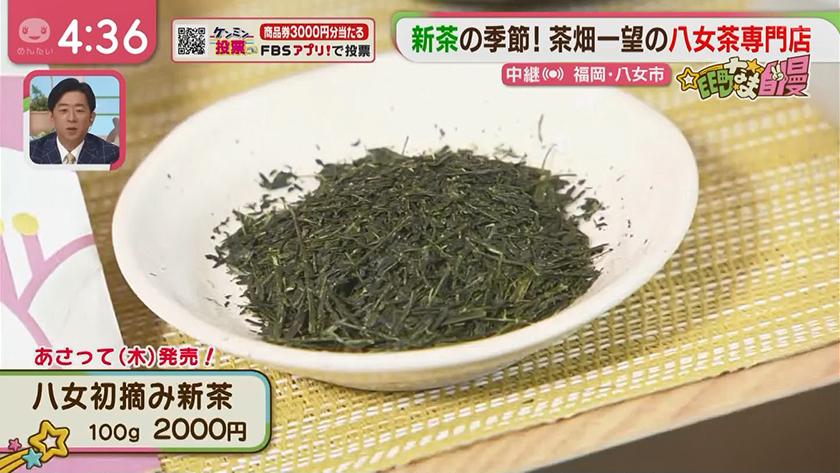 集まれ!EE町なま自慢｜新茶の季節！茶畑一望八女茶専門店(八女市)