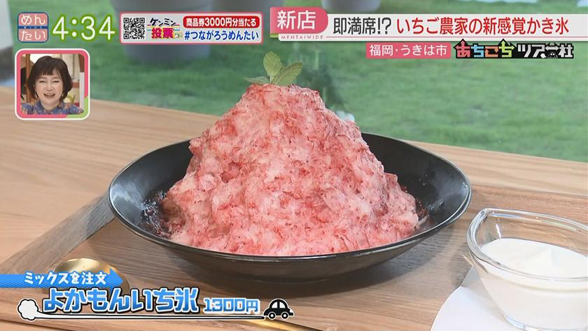 あちこちツアー社【新企画】｜うきは市エリア