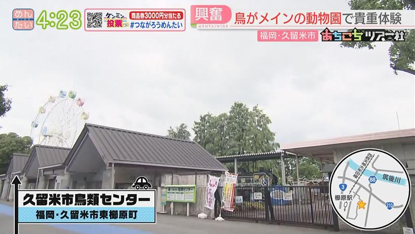 あちこちツアー社【新企画】｜夏にイチオシ!久留米ドライブ