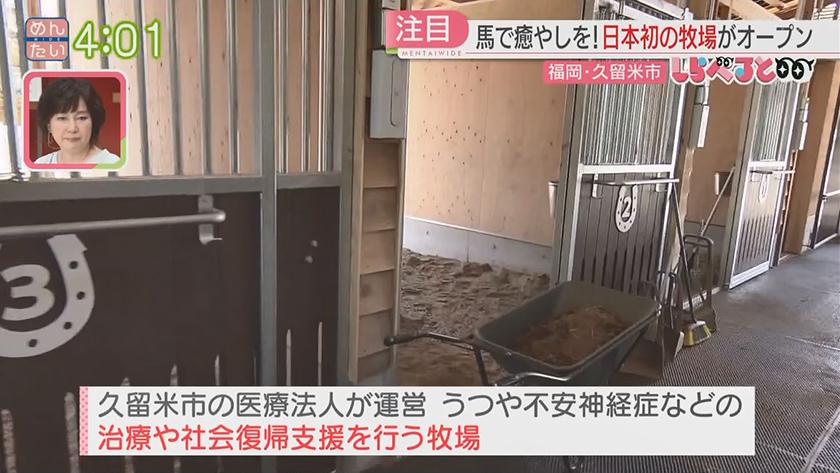 夕刊めんタイムリー｜しらべると～馬で癒やしを!日本初の牧場がオープン(久留米市)～