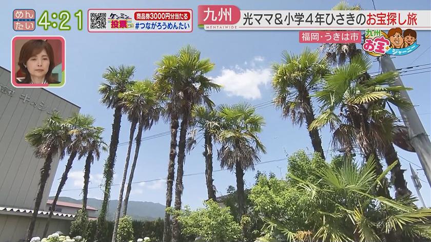 九州お宝ジャーニー|うきは市 九州お宝ジャーニー|うきは市